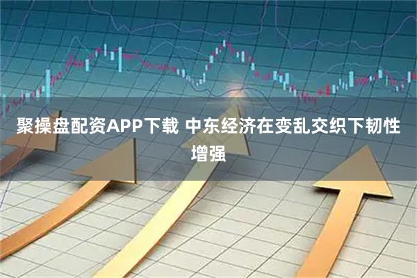 聚操盘配资APP下载 中东经济在变乱交织下韧性增强