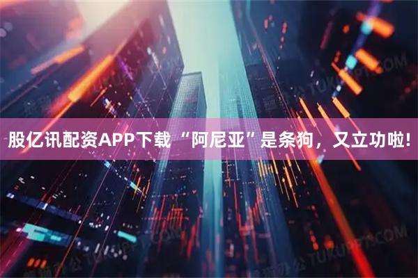 股亿讯配资APP下载 “阿尼亚”是条狗，又立功啦!