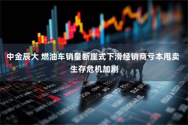 中金辰大 燃油车销量断崖式下滑经销商亏本甩卖 生存危机加剧