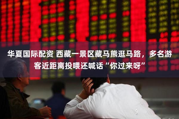 华夏国际配资 西藏一景区藏马熊逛马路，多名游客近距离投喂还喊话“你过来呀”