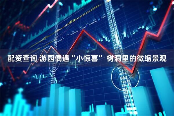 配资查询 游园偶遇“小惊喜” 树洞里的微缩景观