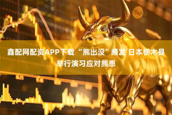 鑫配网配资APP下载 “熊出没”频发 日本栃木县举行演习应对熊患