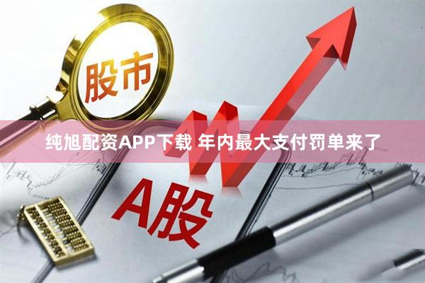 纯旭配资APP下载 年内最大支付罚单来了